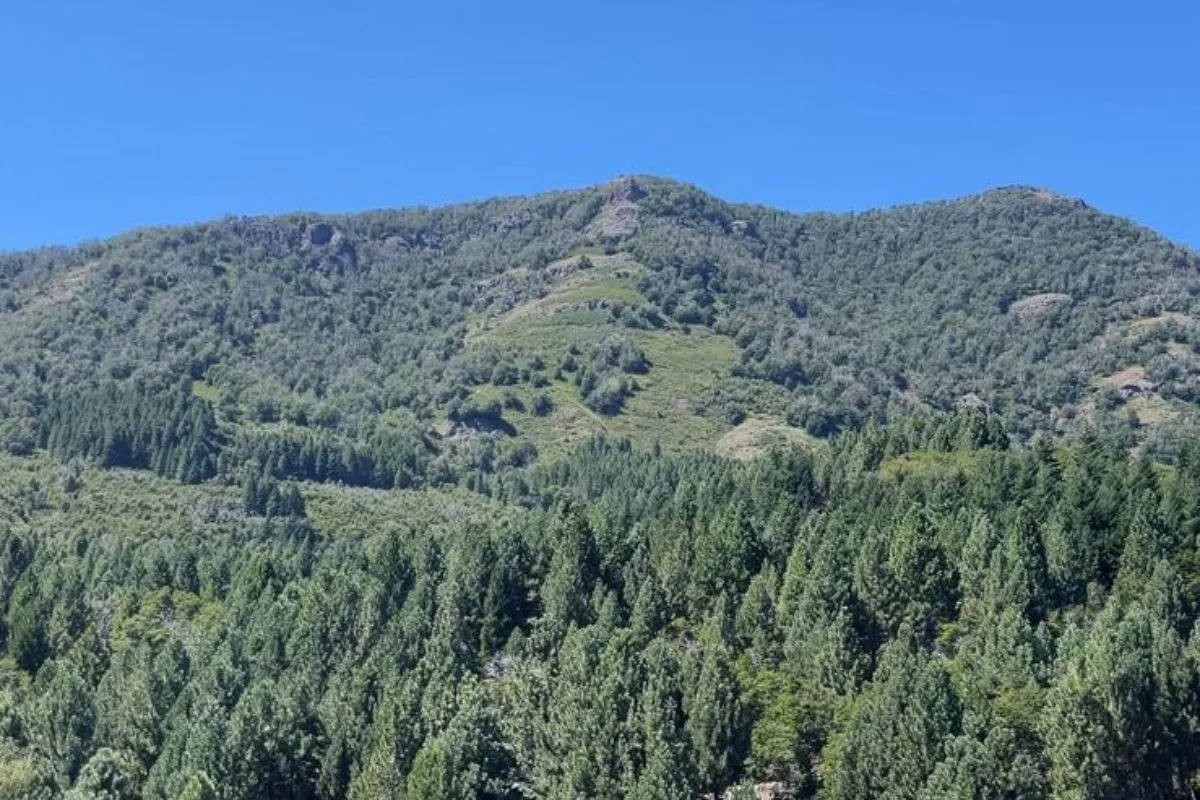 Un lugar para renovar energía
